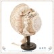 Hoshibako Works A Casual Outing 2.0 Bonnet(Limited Pre-Order/2 Colours/Full Payment Without Shipping)